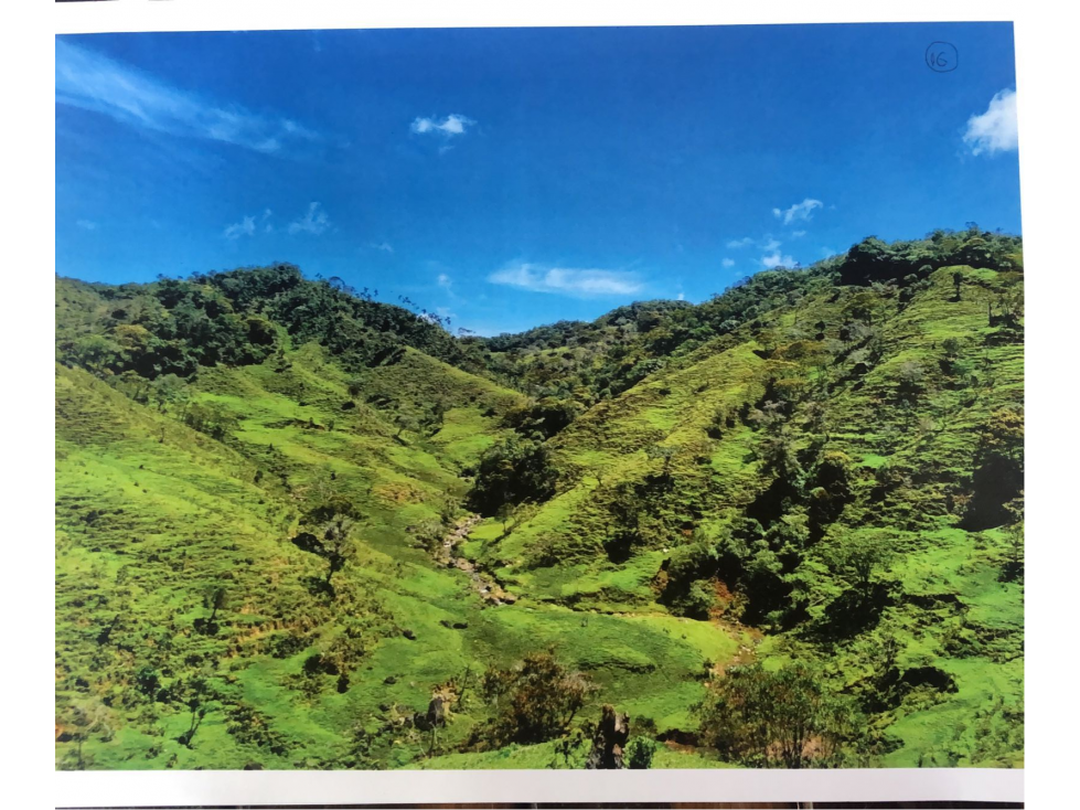 VENTA FINCA SECTOR AUTOPISTA EN EL SANTUARIO ANTIOQUIA - 5