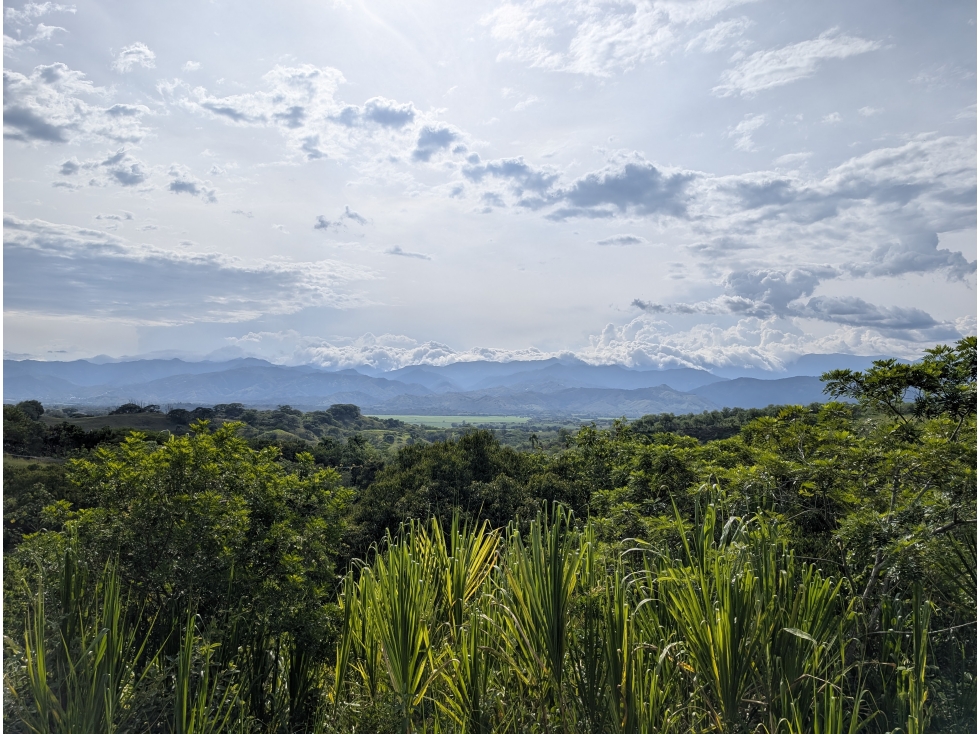 Lote Campestre 10.000 m² en Condominio Vía La Virginia, Pereira