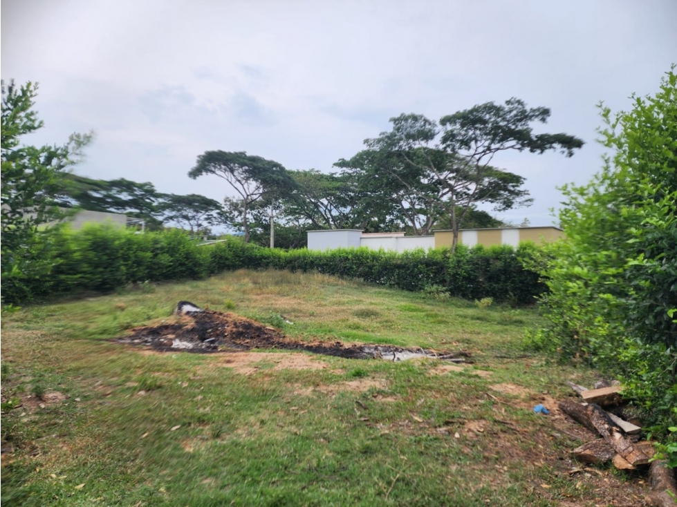 Lote con Licencia de Construcción en Venta - 2