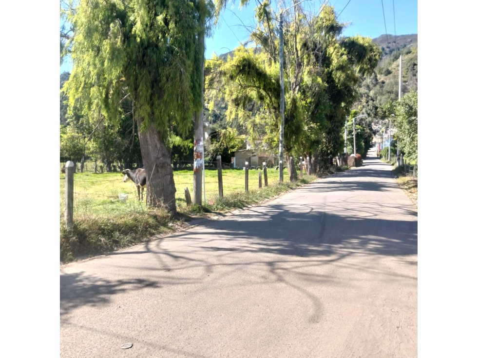 VENTA FINCA EN TENJO CUNDINAMARCA VEREDA CHINCHE,CON CASA — foto 3