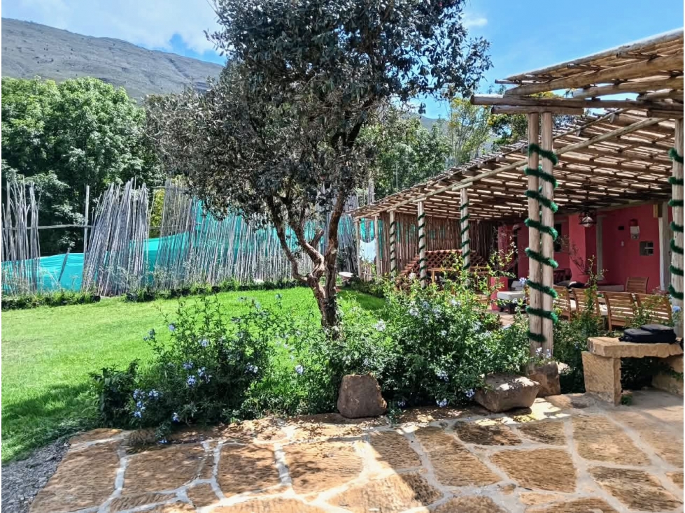 Casa Hotel Villa Amalia - Villa de Leyva - 5