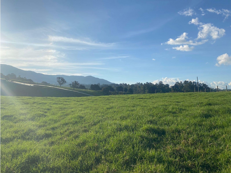 VENTA DE LOTE EN SAN FÉLIX VIA SAN PEDRO DE LOS MILAGROS — foto 6