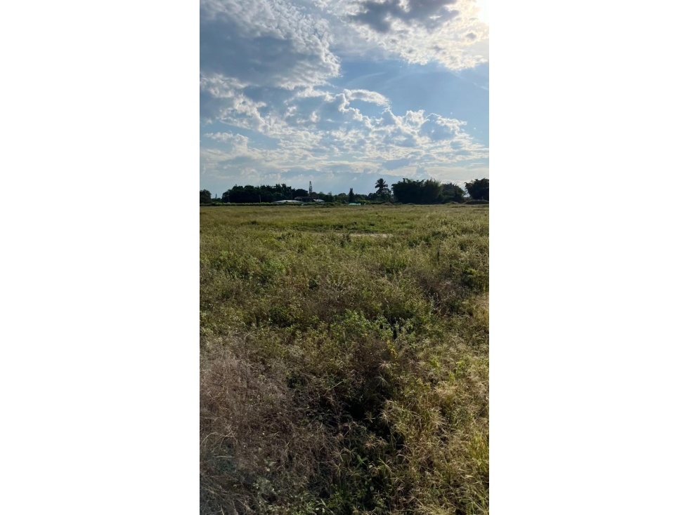VENTA LOTES URBANIZADOS EN VILLA GORGONA -BUCHITOLO,CANDELARIA VALLE - 5