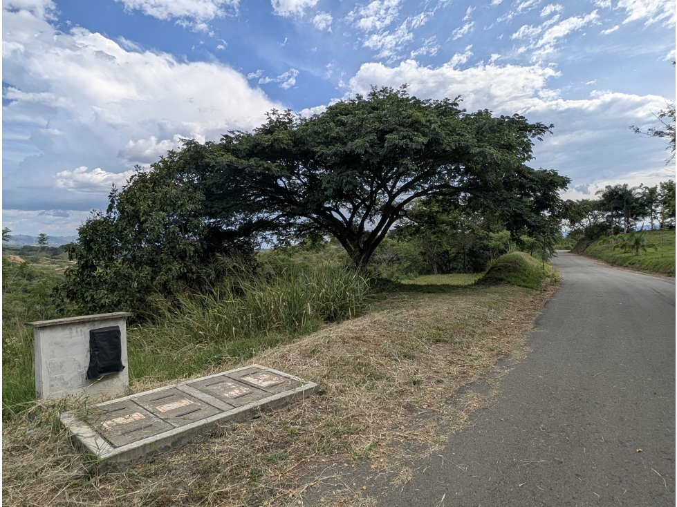 Lote Campestre 10.000 m² en Condominio Vía La Virginia, Pereira — foto 5
