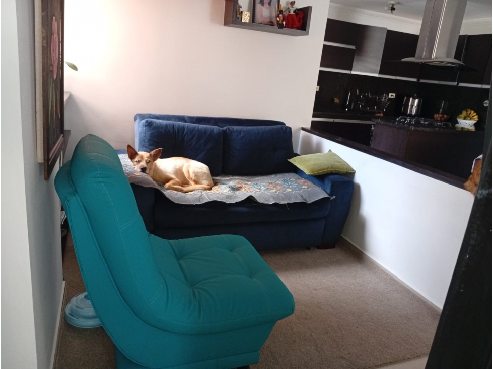 MAGNÍFICO APARTAMENTO EN VENTA CALASANZ, PARTE BAJA — foto 3