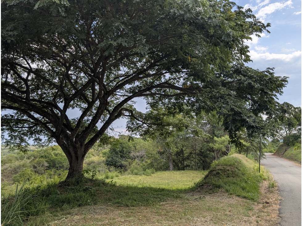 Lote Campestre 10.000 m² en Condominio Vía La Virginia, Pereira — foto 6