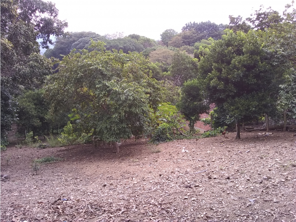 Lote / Terreno en Venta en San Jerónimo Antioquia, Colombia. - 6
