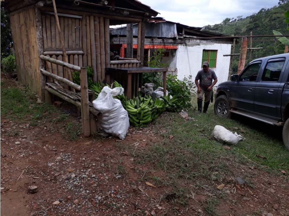 Se vende finca en Anserma Nuevo Vereda el Castillo - 4