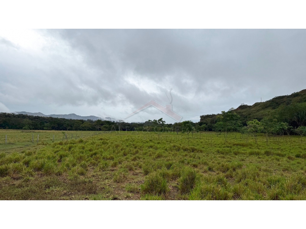 Venta de Finca de 25 Hectáreas en Gualanday, Coello Ibagué — foto 4