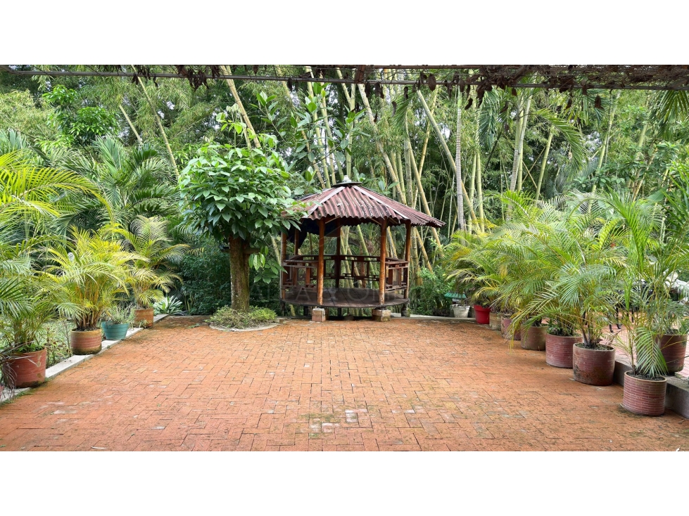 Venta de Casa Familiar con Terraza y Jacuzzi Cerca al Vergel Ibagué