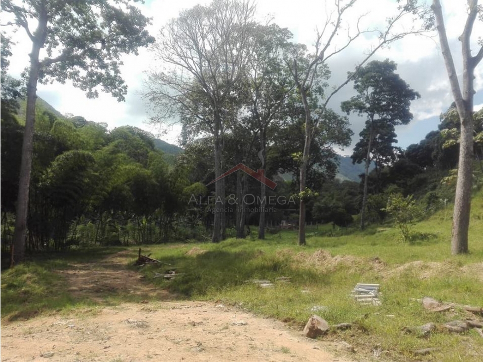 VENTA DE LOTES CAMPESTREE EN EL TOTUMO - IBAGUÉ - 3