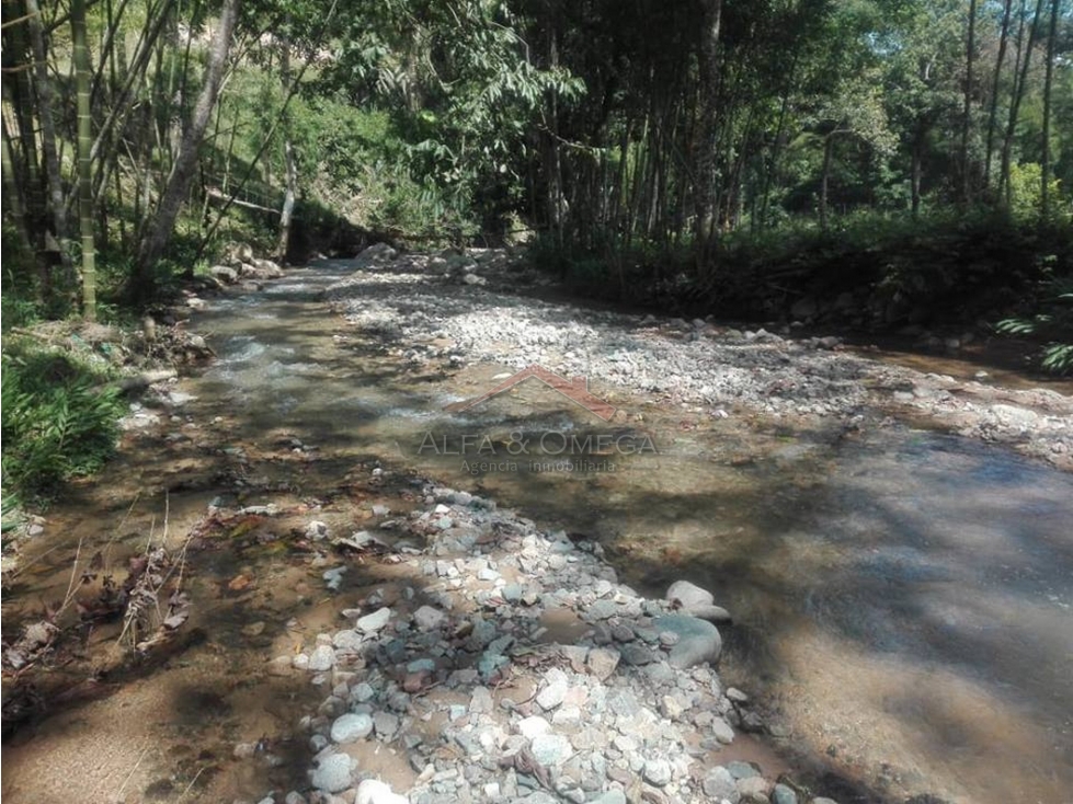 VENTA DE LOTES CAMPESTREE EN EL TOTUMO - IBAGUÉ - 2