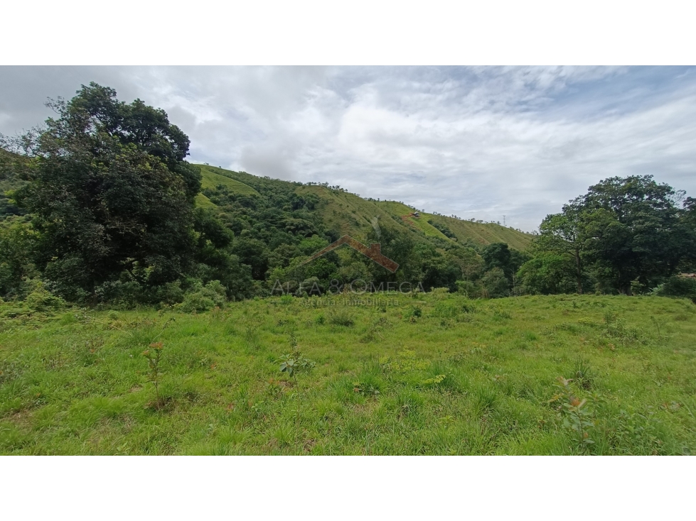 VENTA DE LOTES CAMPESTREE EN EL TOTUMO - IBAGUÉ - 4