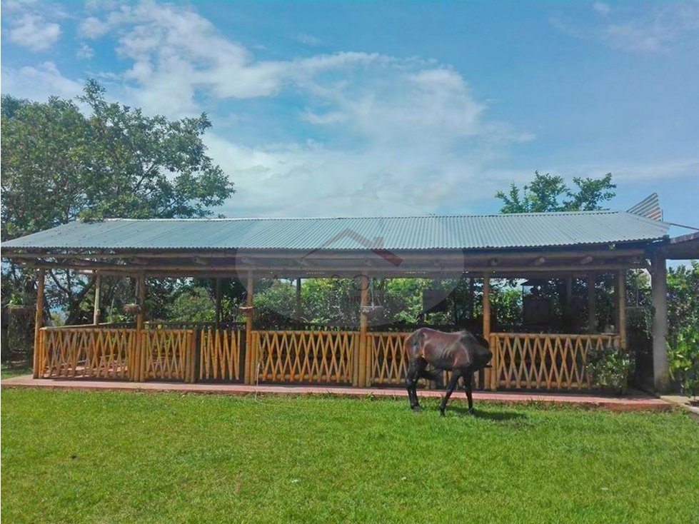 Venta de Casa Campestre con Terreno Cerca al Salado Ibagué - 5