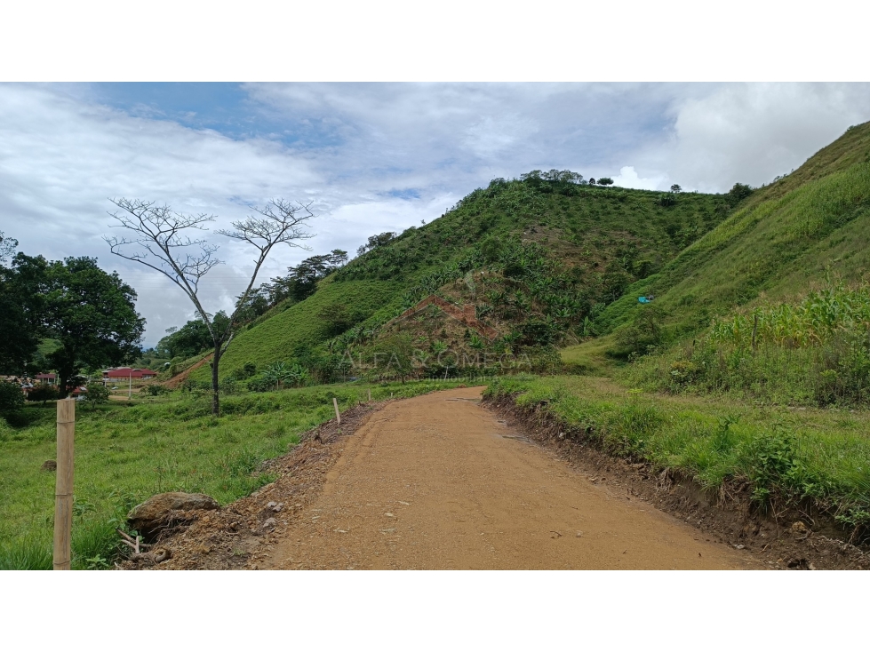 VENTA DE LOTES CAMPESTREE EN EL TOTUMO - IBAGUÉ - 6