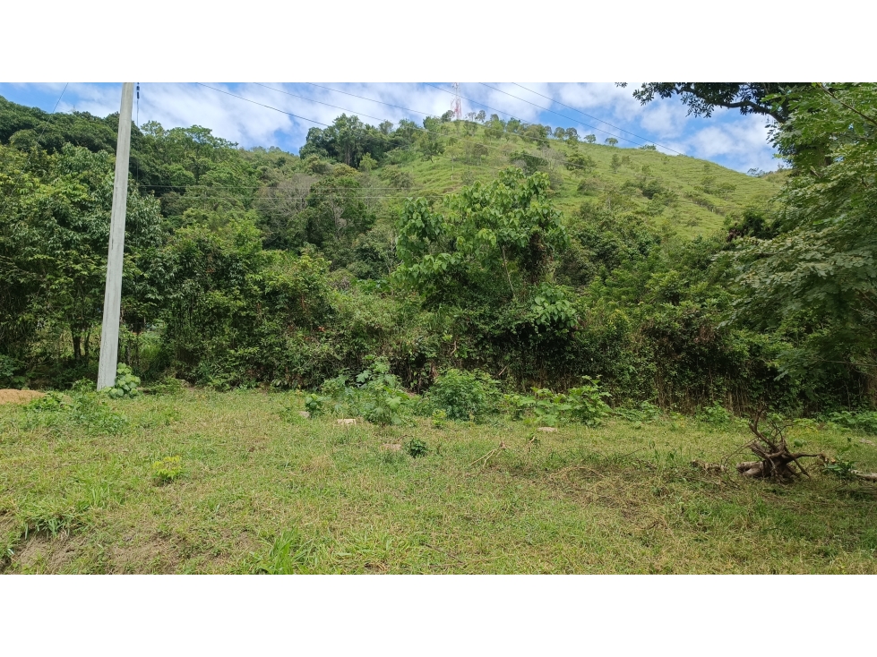 Venta de Lotes Campestres desde 1.000 m² en El Totumo Ibagué