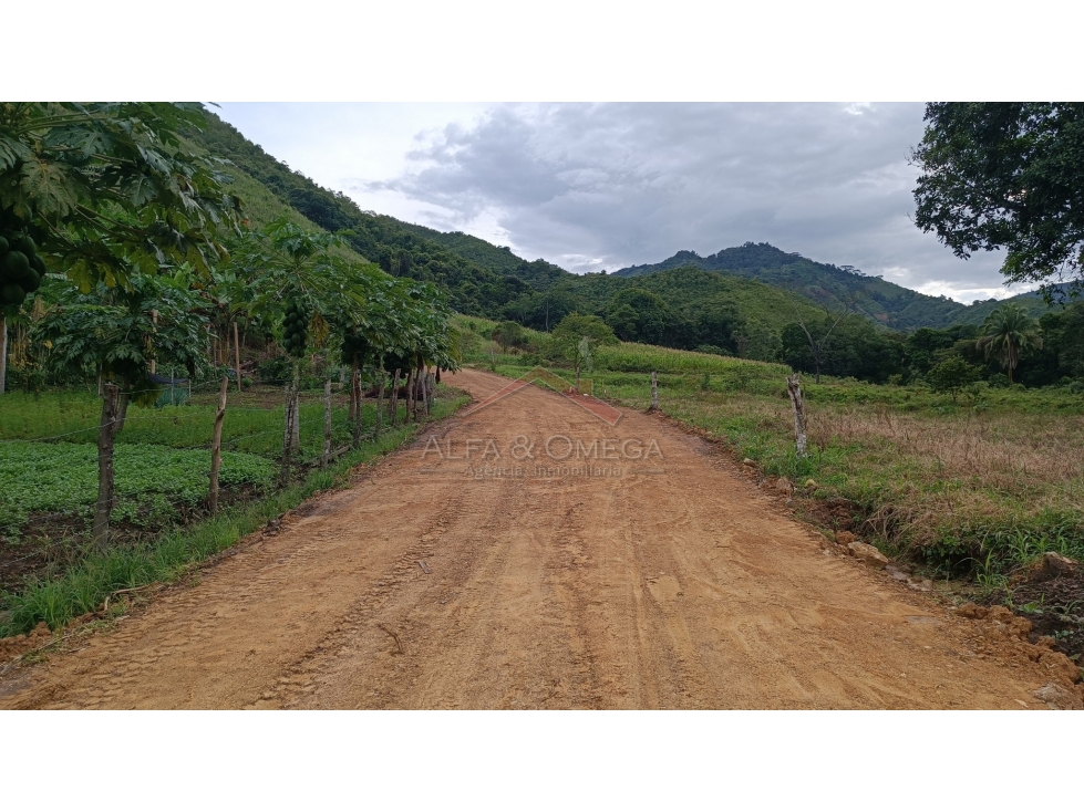 Venta de Lotes Campestres desde 1.000 m² en El Totumo Ibagué — foto 2