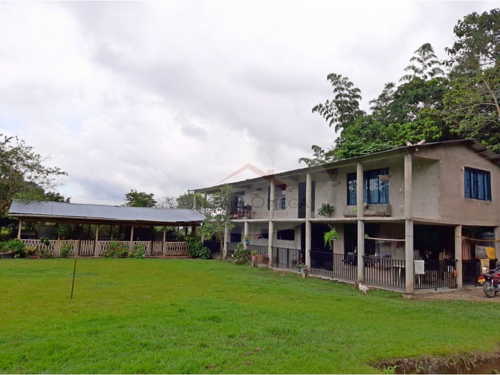 Venta de Casa Campestre con Terreno Cerca al Salado Ibagué - 3