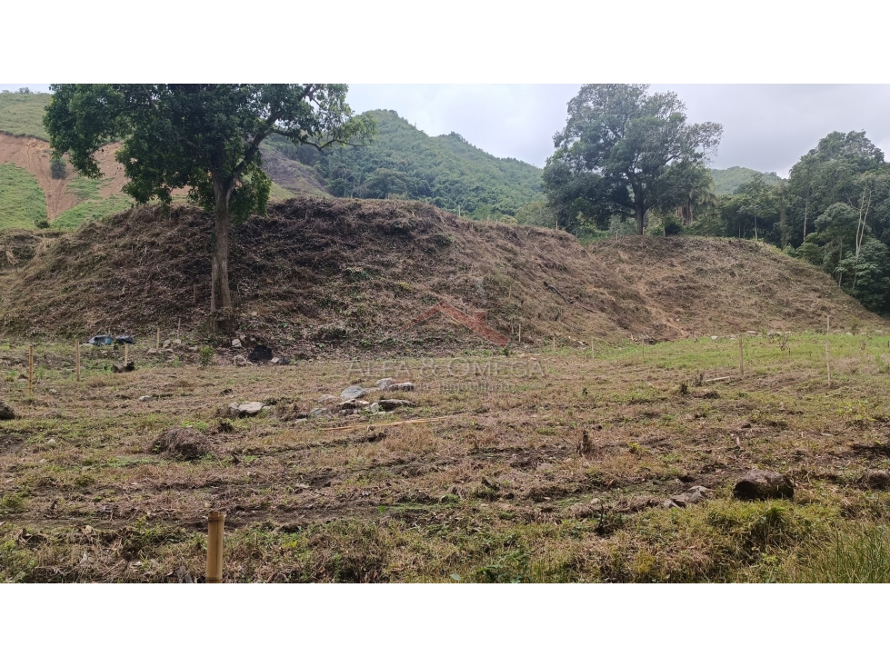 VENTA DE LOTES CAMPESTREE EN EL TOTUMO - IBAGUÉ - 1