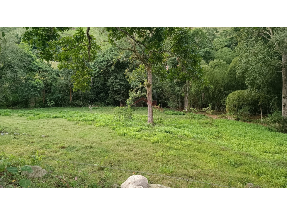 Venta de Lotes Campestres desde 1.000 m² en El Totumo Ibagué — foto 5