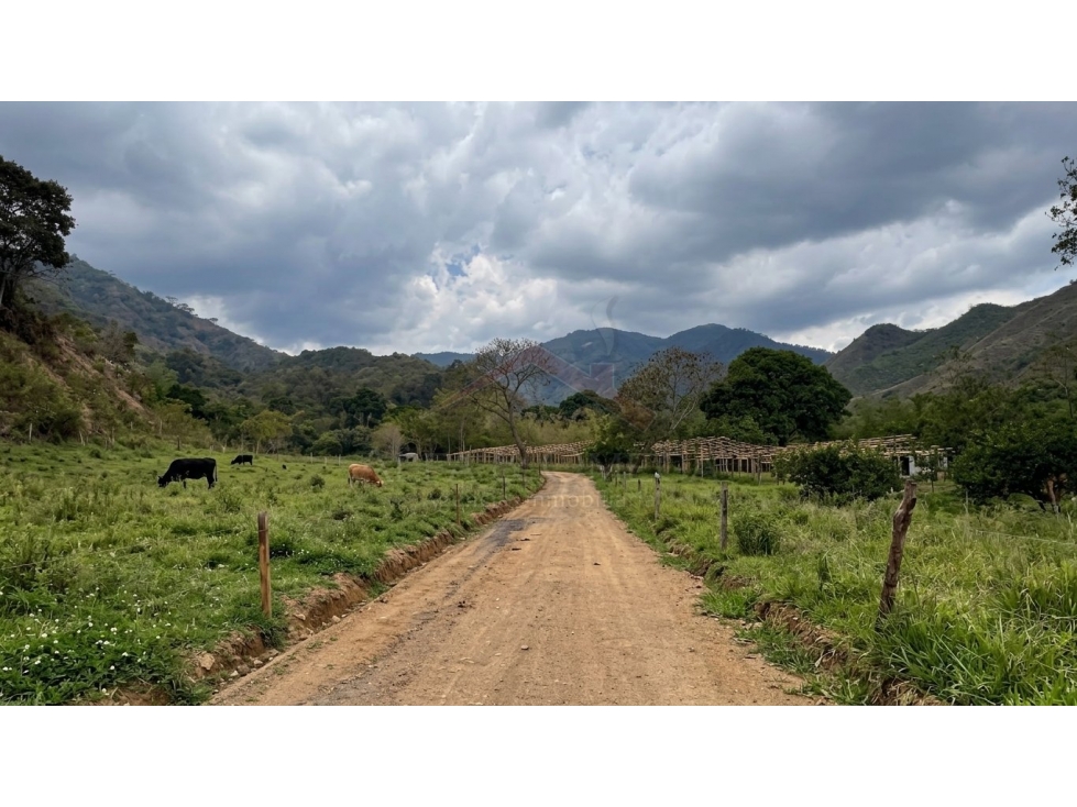 Venta de Lotes Campestres desde 1.000 m² en El Totumo Ibagué - 1