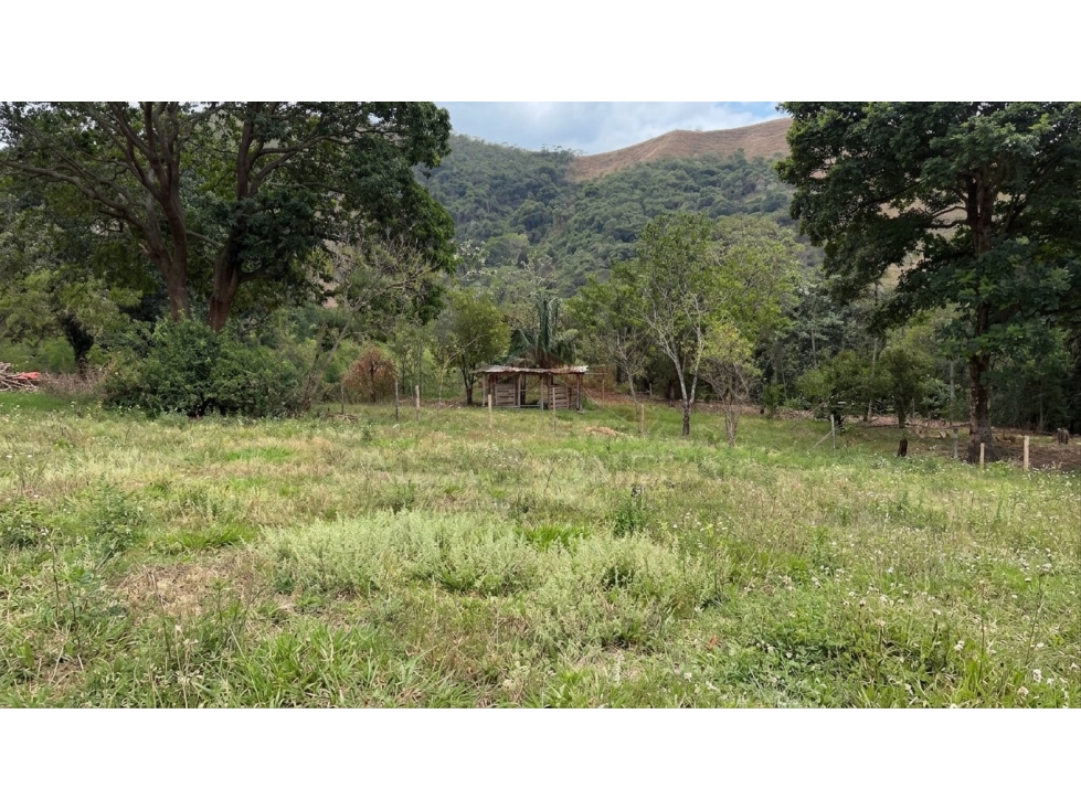 Venta de Lotes Campestres desde 1.000 m² en El Totumo Ibagué - 2
