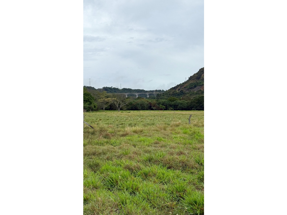 Venta de Finca de 25 Hectáreas en Gualanday, Coello Ibagué — foto 3