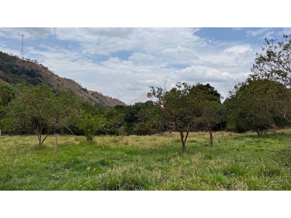 Venta de Lotes Campestres desde 1.000 m² en El Totumo Ibagué - 5