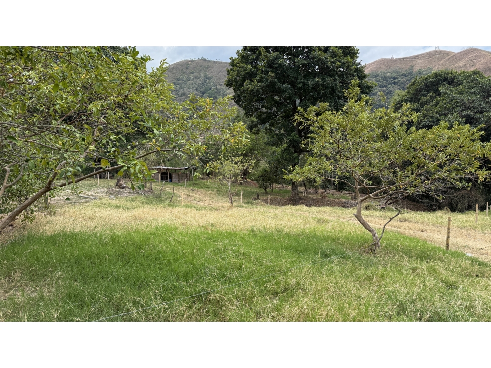 Venta de Lotes Campestres desde 1.000 m² en El Totumo Ibagué - 6