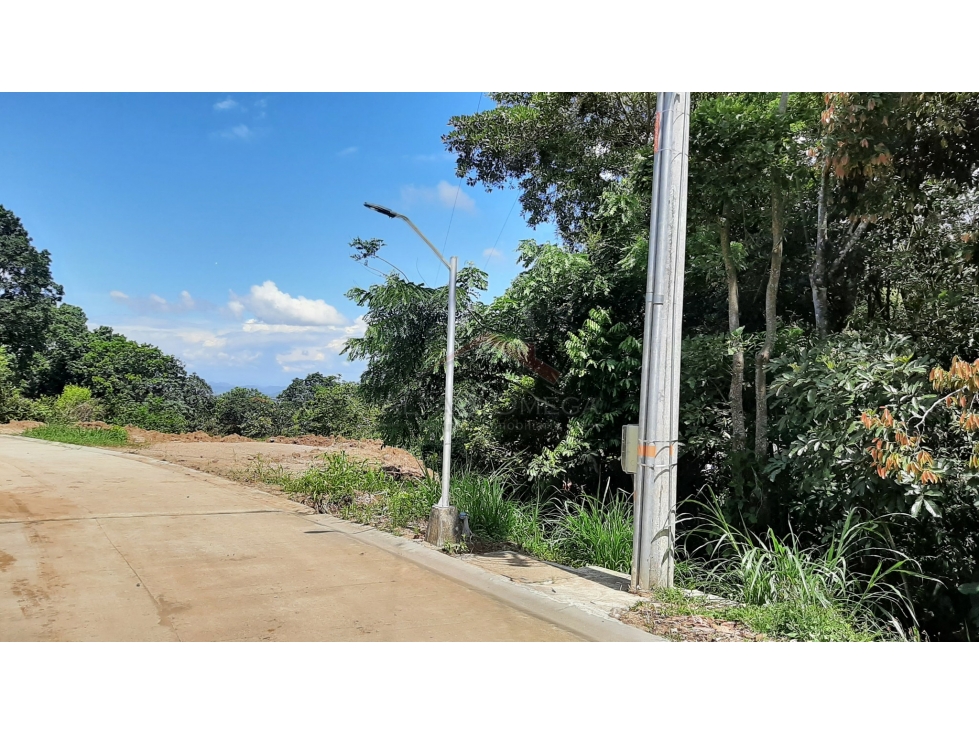 Venta de Lotes Campestres con Licencia en El Totumo Ibagué - 6