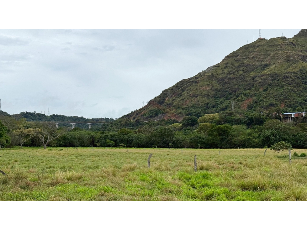 Venta de Finca de 25 Hectáreas en Gualanday, Coello Ibagué — foto 5