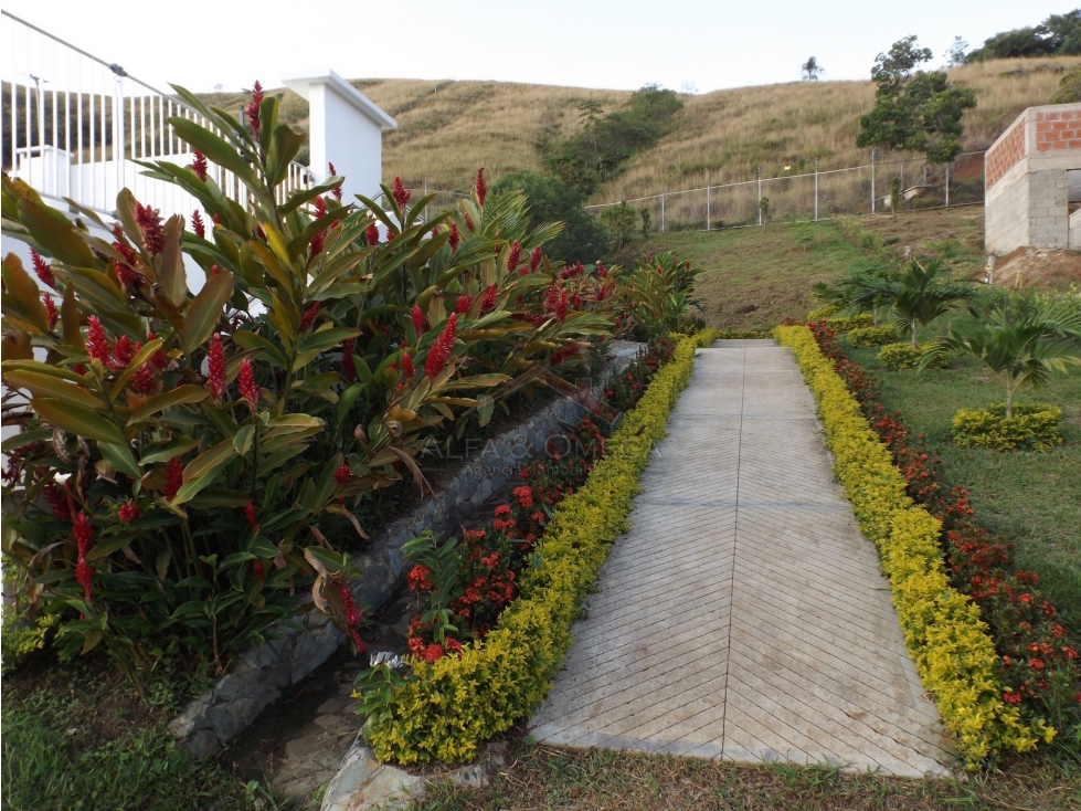 Venta de Lotes Campestres con Licencia en El Totumo Ibagué - 3