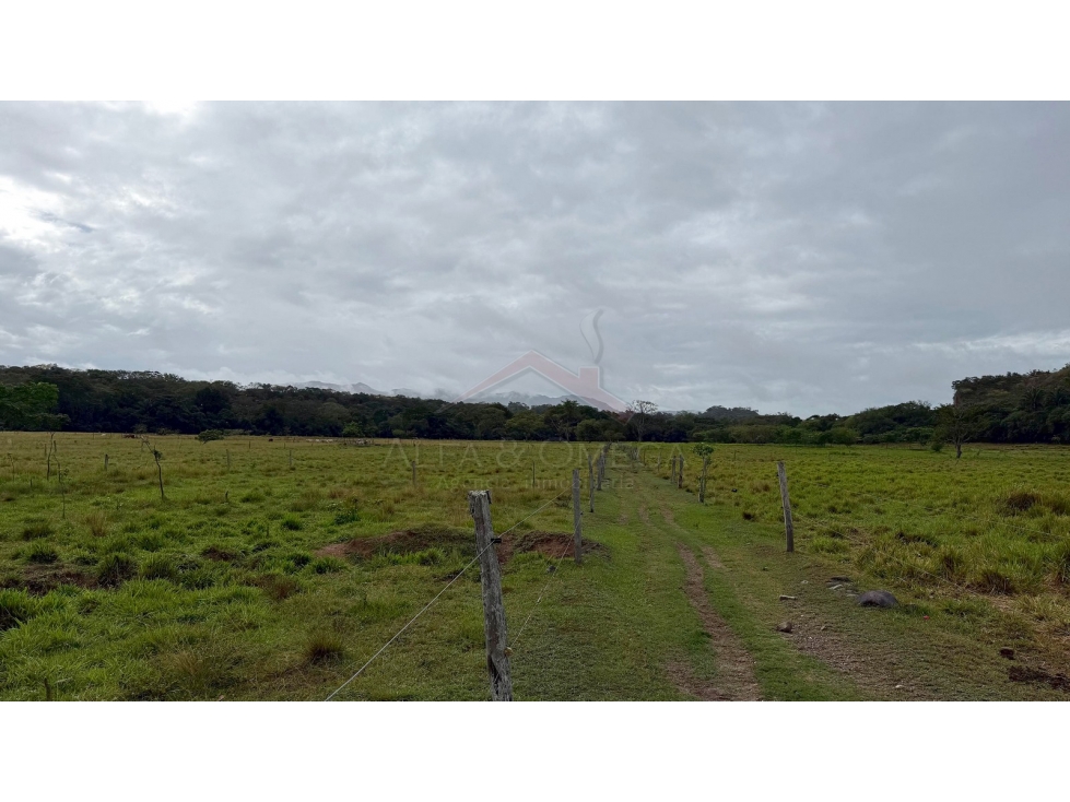 Venta de Finca de 25 Hectáreas en Gualanday, Coello Ibagué — foto 6