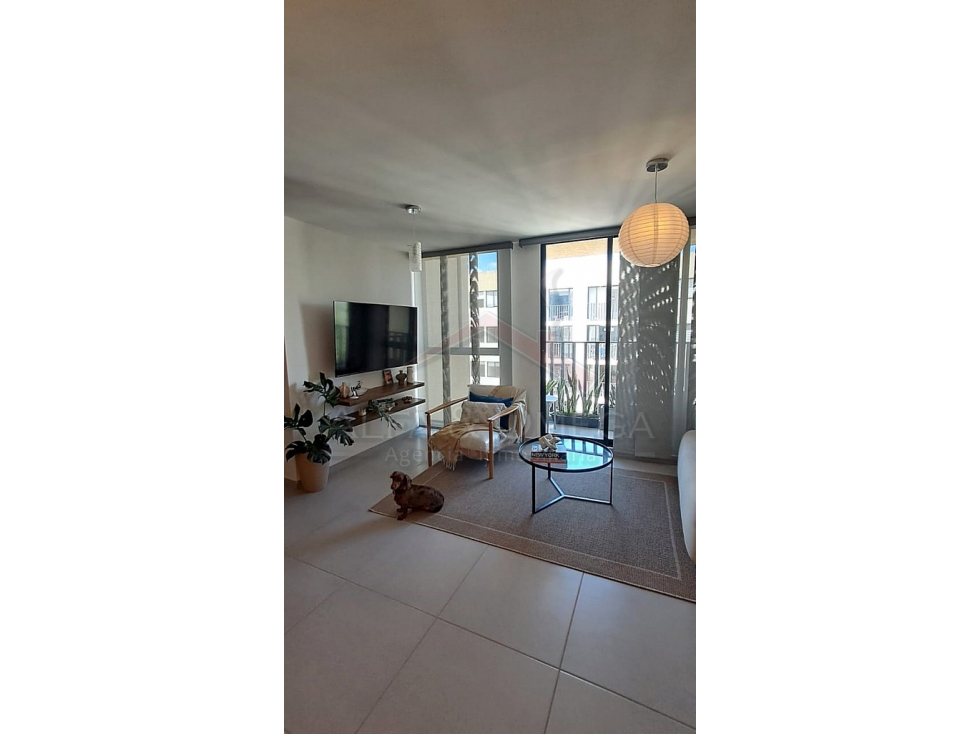Venta de Apartamento en conjunto cerrado del Sector Picaleña Ibagué — foto 2