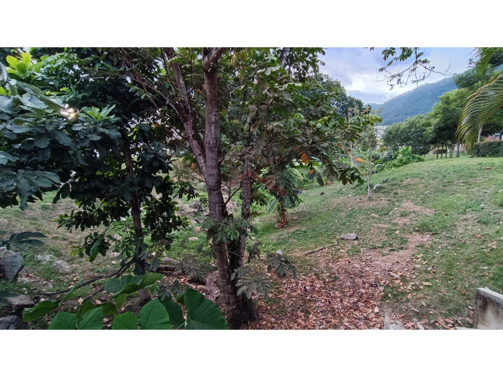 Venta de lote en conjunto cerrado en El Vergel Ibagué - 5