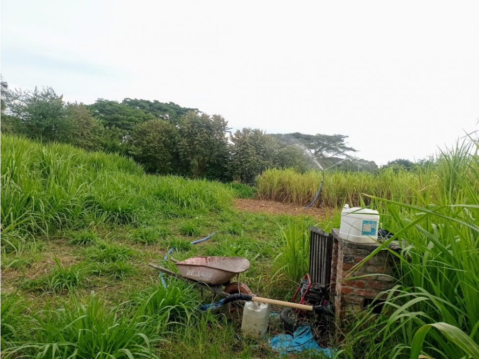 LOTE CAMPESTRE EN VENTA VÍA PALMIRA-CERRITO CERCA A LA PANAMERICANA - 3