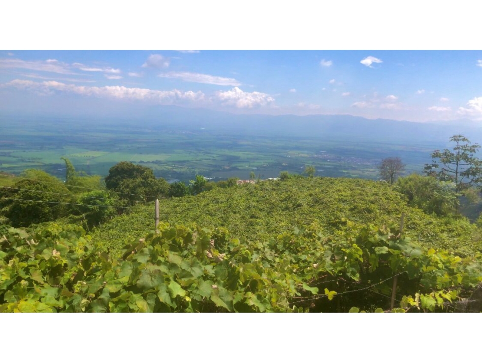 LOTE CAMPESTRE EN VENTA EN GINEBRA VALLE DEL CAUCA — foto 2
