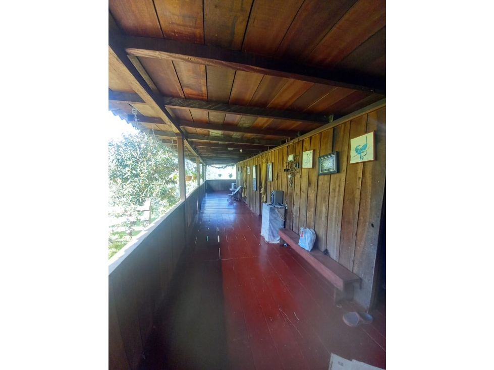 FINCA PRODUCTIVA EN VENTA TENERIFE EL CERRITO VALLE 254 Hectáreas — foto 2
