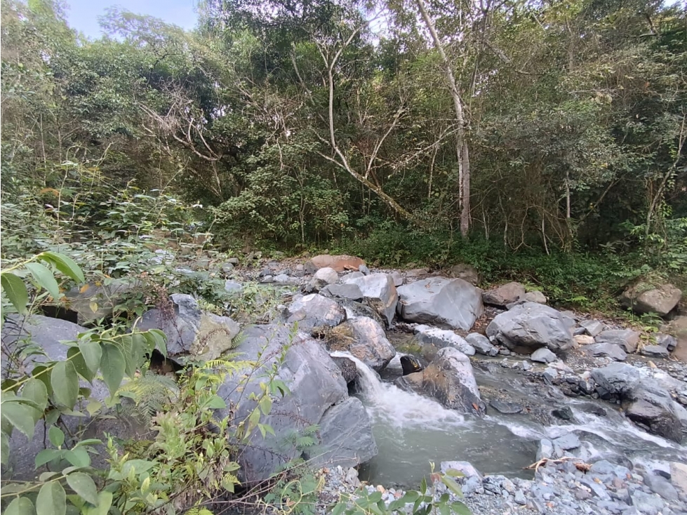 LOTE CAMPESTRE EN VENTA CERRITO PARA DESARROLLO INMOBILIARIO - 4