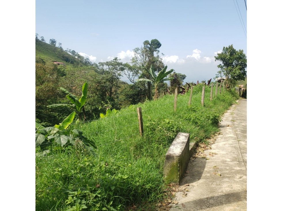 LOTE CAMPESTRE EN VENTA EL CASTLLO CERRITO VALLE DEL CAUCA