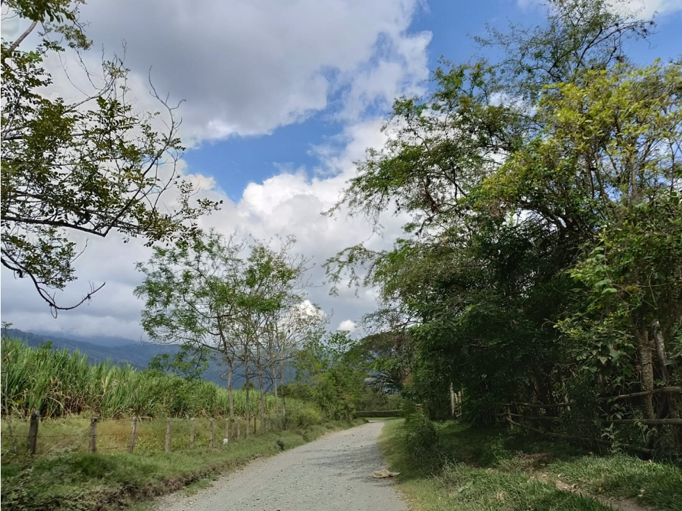 LOTE CAMPESTRE EN VENTA CERRITO PARA DESARROLLO INMOBILIARIO - 5