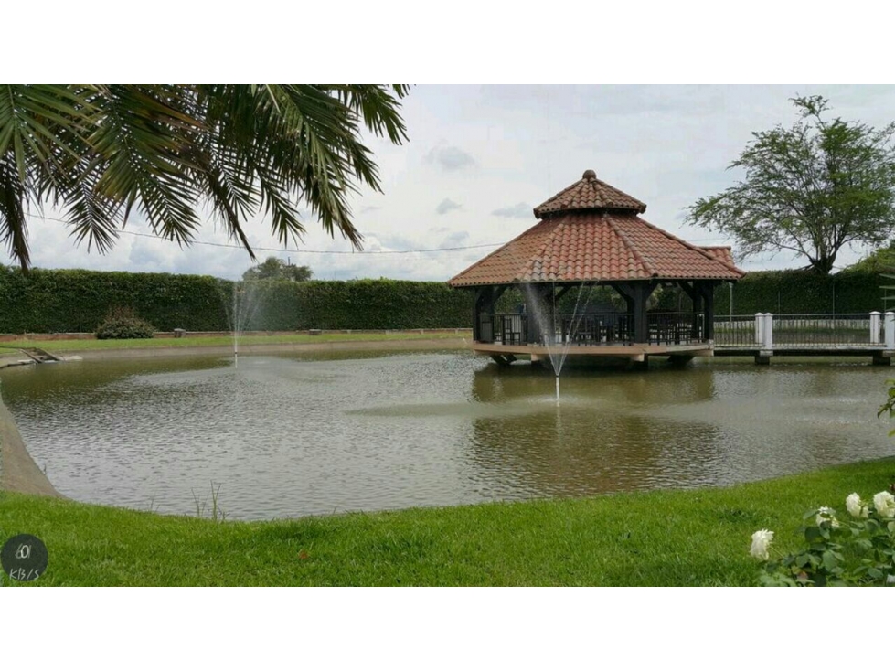 FINCA EN VENTA CORREDOR BUGA BETANIA, VALLE DEL CAUCA - 2