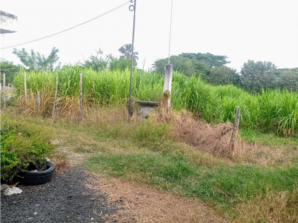 LOTE CAMPESTRE EN VENTA VÍA PALMIRA-CERRITO CERCA A LA PANAMERICANA - 2