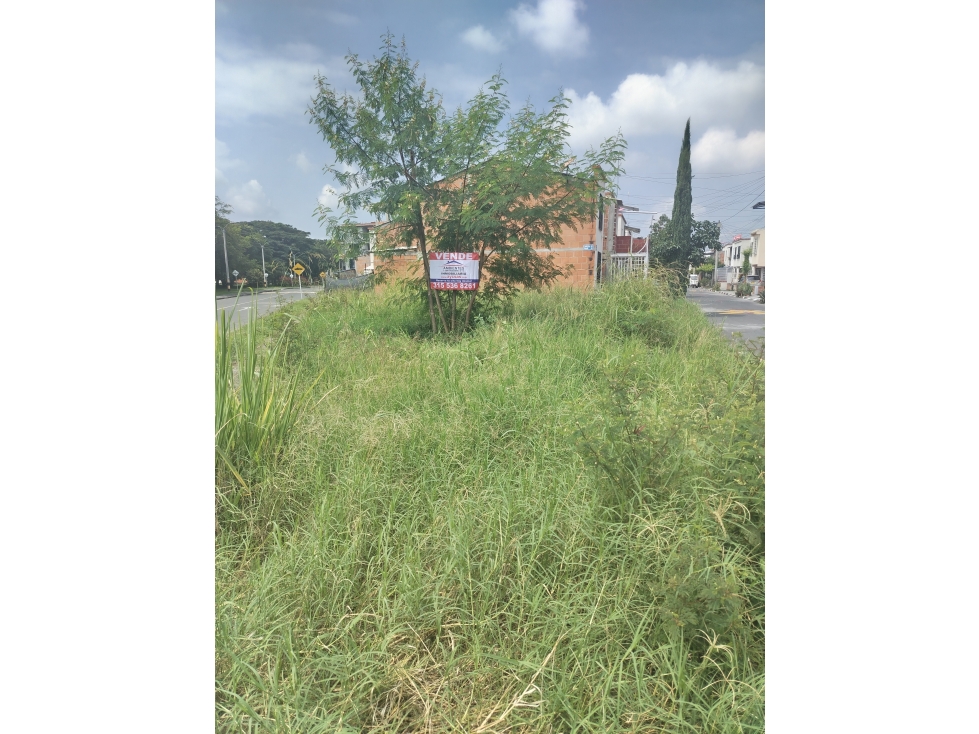 LOTE ESQUINERO COMERCIAL EN VENTA CHAPINERO SUR, PALMIRA — foto 2