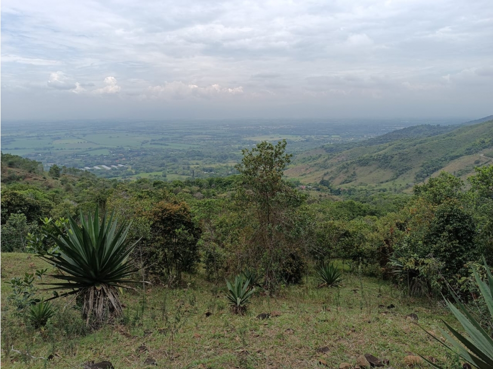 LOTE CAMPESTRE EN VENTA CERRITO PARA DESARROLLO INMOBILIARIO - 3