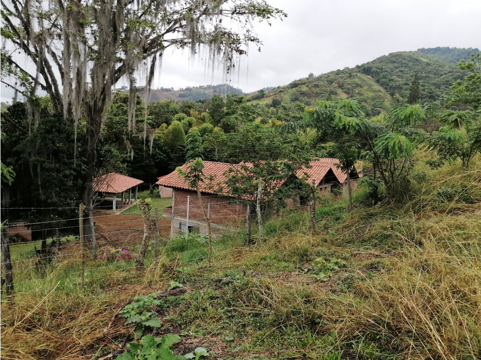 LOTE CAMPESTRE EN VENTA PALMIRA LA BUITRERA — foto 2