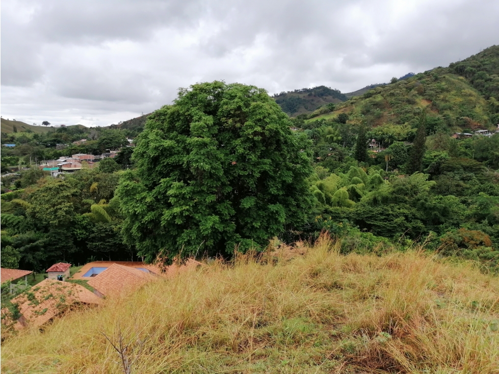 LOTE CAMPESTRE EN VENTA PALMIRA LA BUITRERA — foto 3