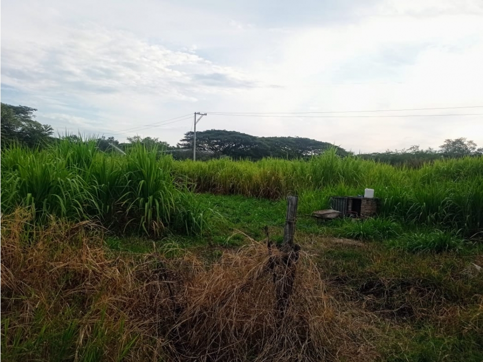 LOTE CAMPESTRE EN VENTA VÍA PALMIRA-CERRITO CERCA A LA PANAMERICANA - 4