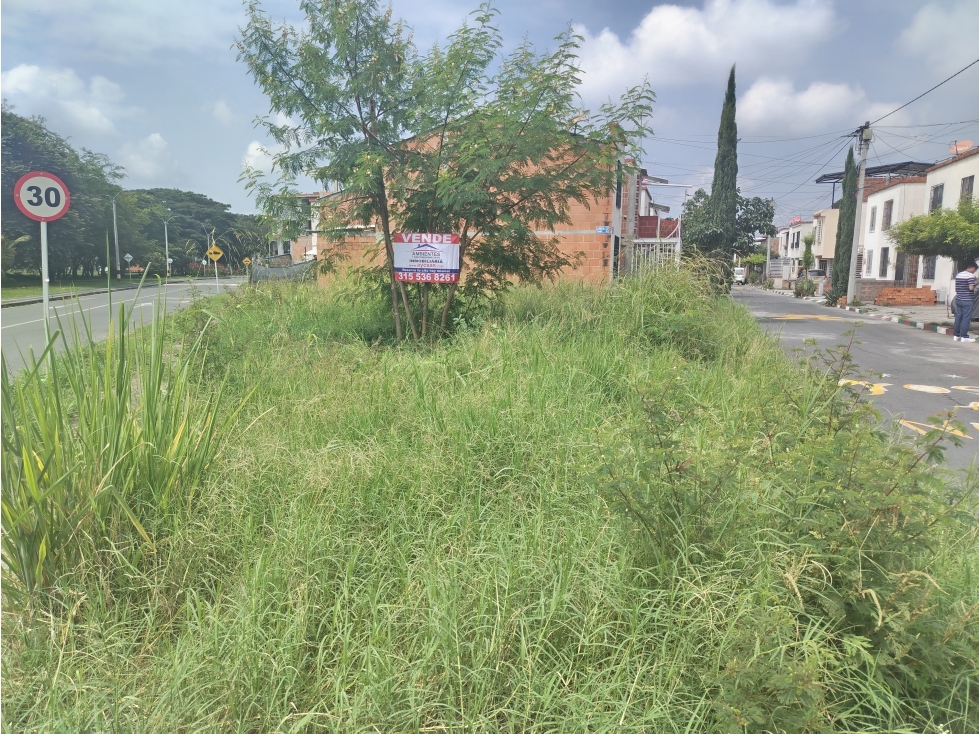 LOTE ESQUINERO COMERCIAL EN VENTA CHAPINERO SUR, PALMIRA — foto 5