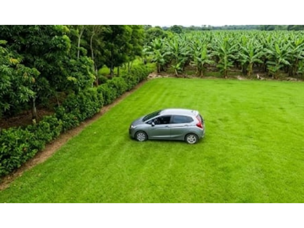 LOTE EN VENTA EN LA CUMBRE VALLE DEL CAUCA - 4